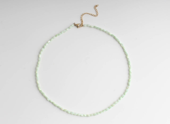 Real Shell - Necklace - Stainless Steel