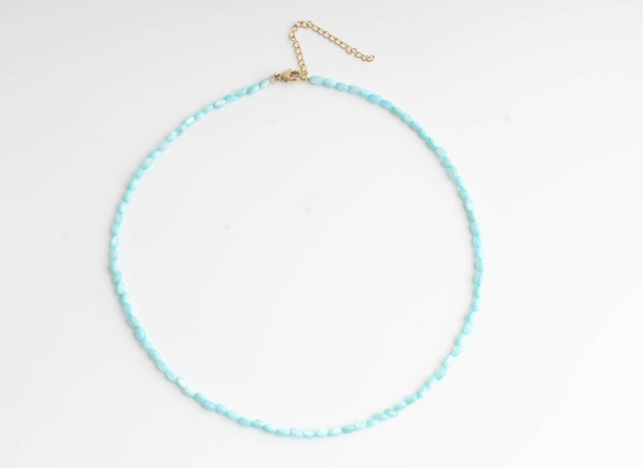 Real Shell - Necklace - Stainless Steel