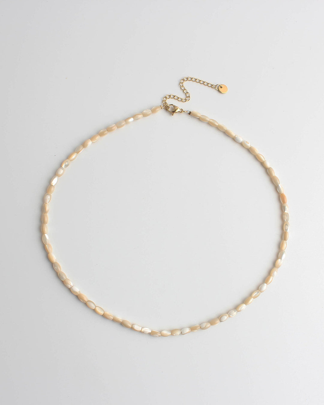 Real Shell - Necklace - Stainless Steel