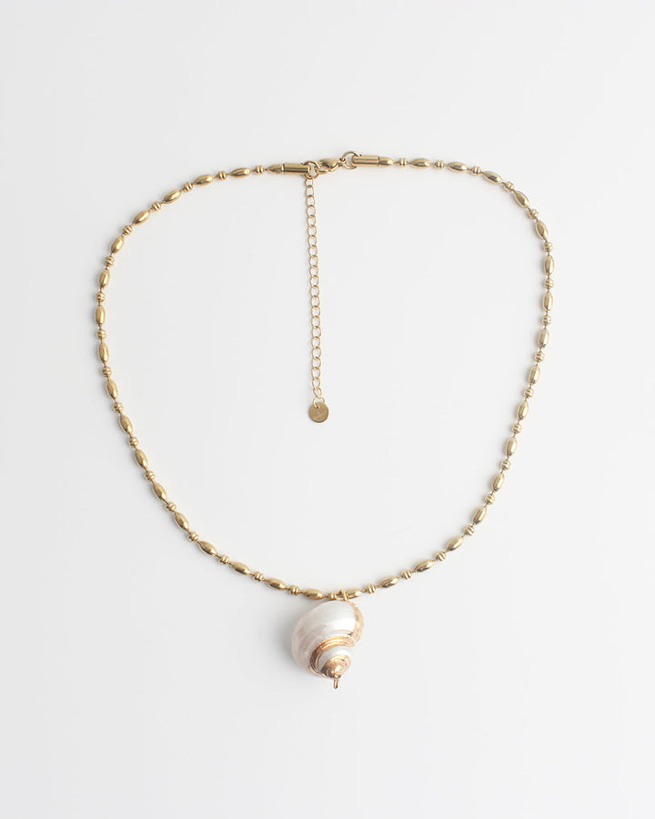 Sea Shell - Necklace - Stainless Steel