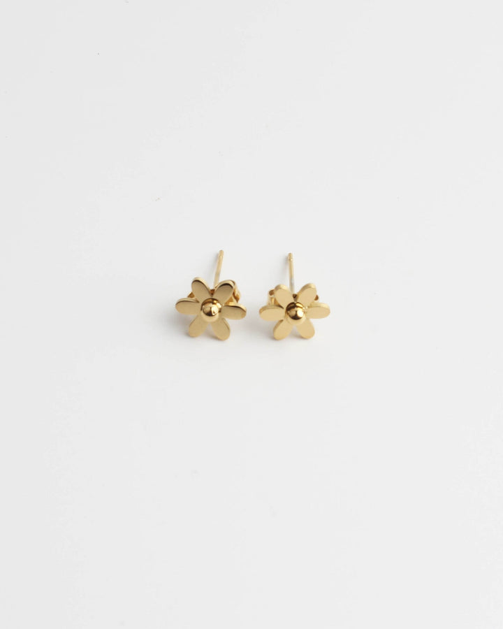 Daisy Flower - Studs - Oorbellen - Stainless Steel