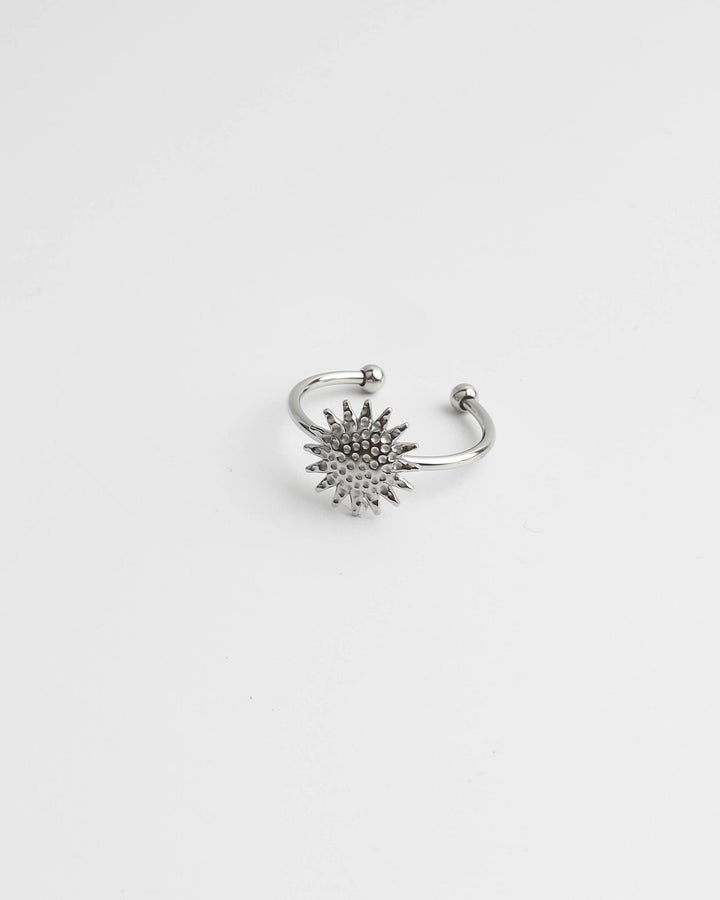 Augustus - Ring - Stainless Steel - Verstelbaar
