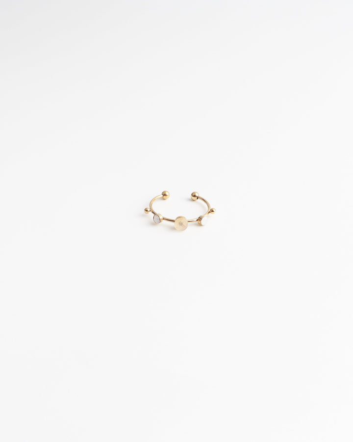 Victoria - Ring - Stainless Steel - Natuursteen - Verstelbaar