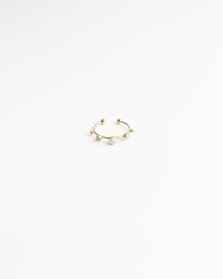 Victoria - Ring - Stainless Steel - Natuursteen - Verstelbaar