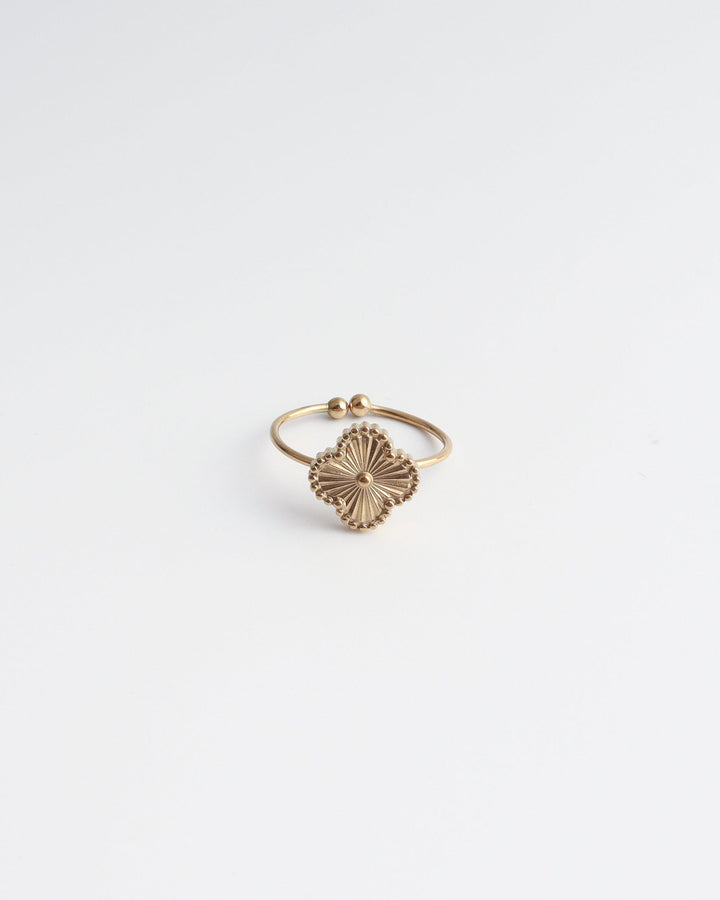 Rosie - Ring - Stainless Steel - Verstelbaar