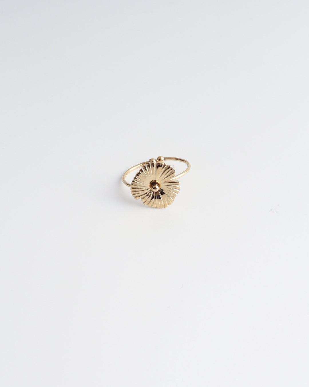 Lenka - Ring - Stainless Steel - Verstelbaar