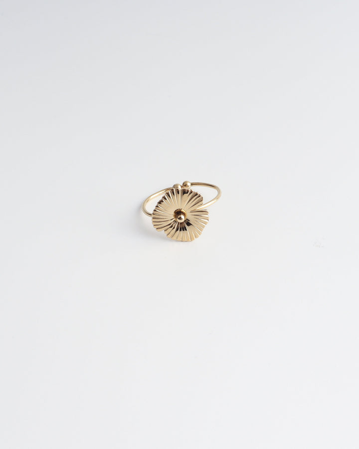 Lenka - Ring - Stainless Steel - Verstelbaar