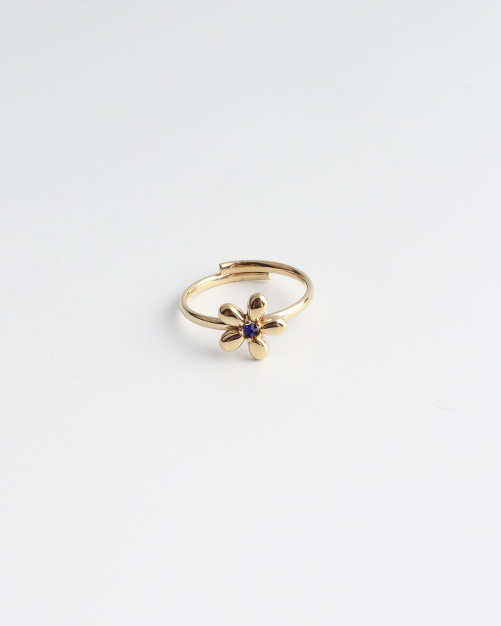 Poppy - Ring - Stainless Steel - Verstelbaar