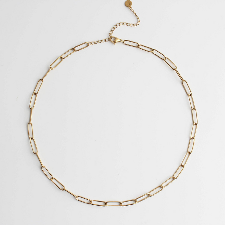 Chain - Necklace - Stainless Steel